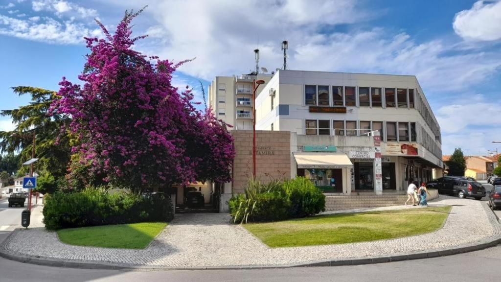 Apartmán Altamira Gb Estarreja Exteriér fotografie